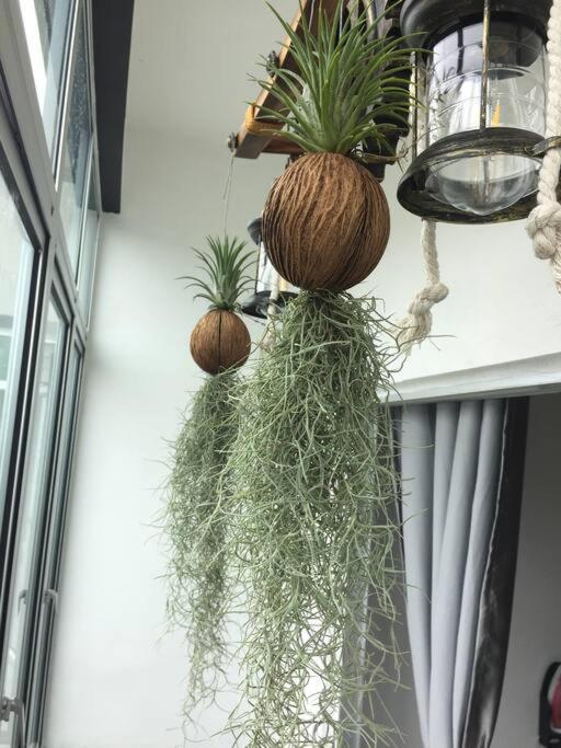 Apartment Cameron Hill Tanah Rata