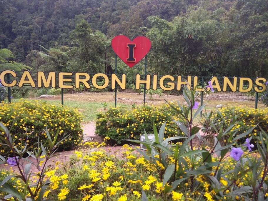 Cameron Hill *
